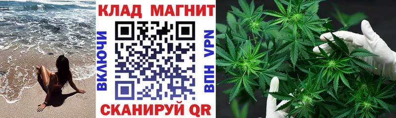 Где купить Новосиль Бутират МАРИХУАНА Cocaine