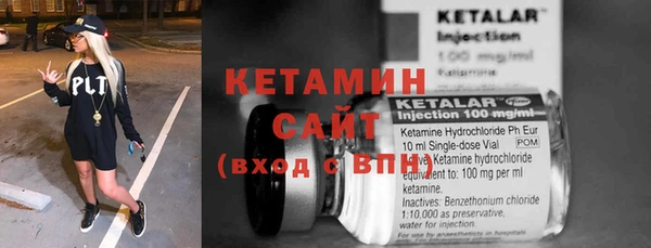 индика Бикин