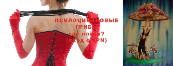 стаф Нефтекумск