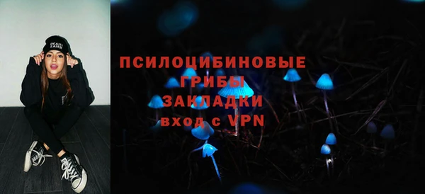 стаф Нефтекумск