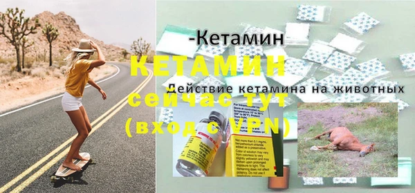 стаф Нефтекумск