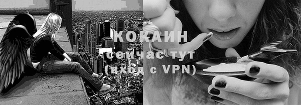 a pvp Нея