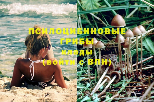 прущие крисы Нефтегорск