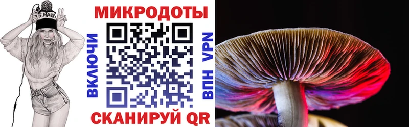 наркошоп Новосиль Псилоцибиновые грибы мицелий